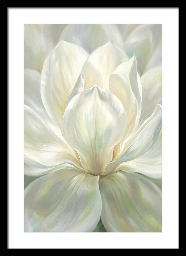 White Magnolia Blossom