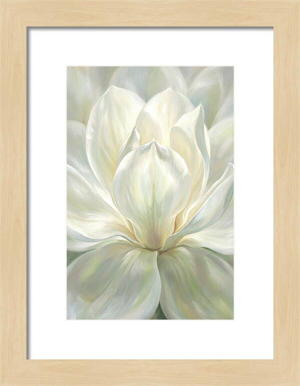 White Magnolia Blossom