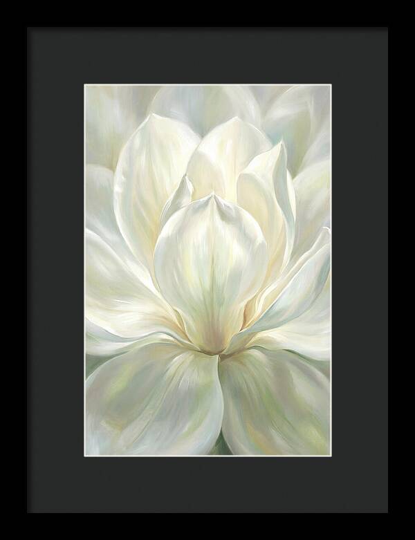 White Magnolia Blossom