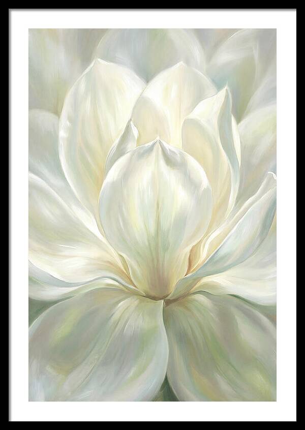 White Magnolia Blossom