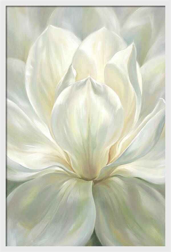 White Magnolia Blossom