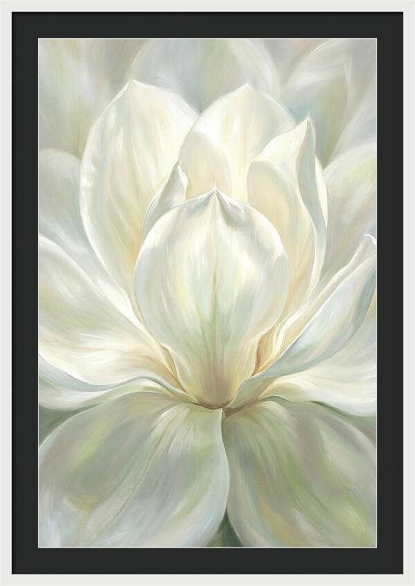 White Magnolia Blossom