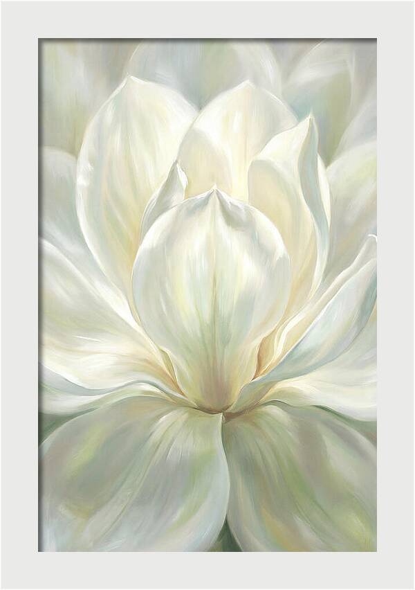 White Magnolia Blossom