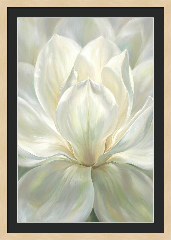 White Magnolia Blossom