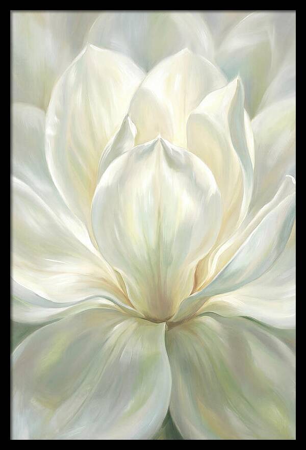 White Magnolia Blossom