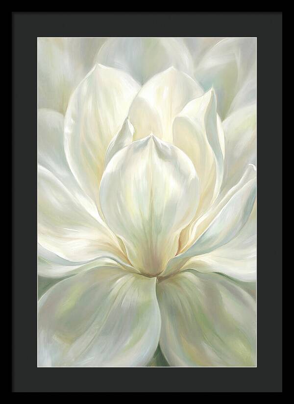 White Magnolia Blossom