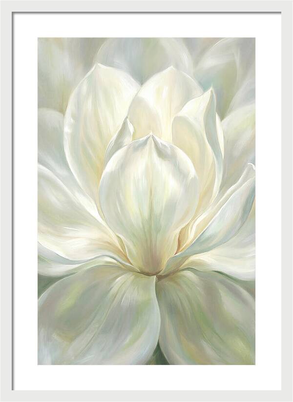 White Magnolia Blossom