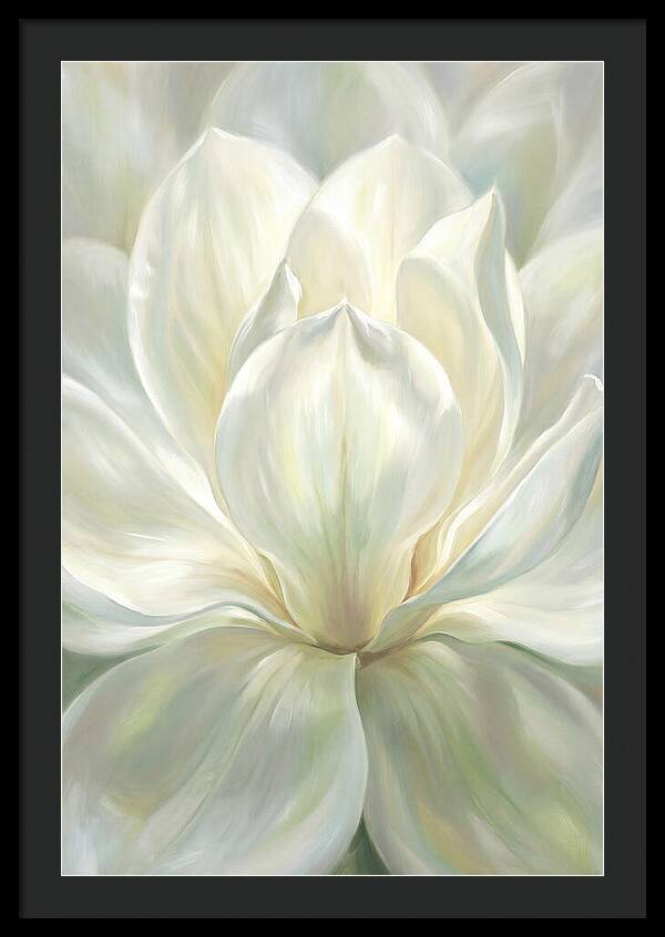White Magnolia Blossom