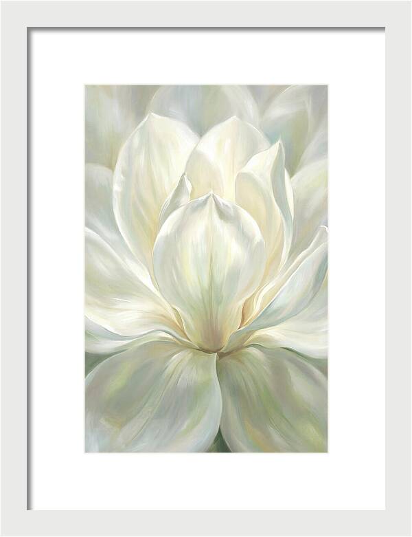 White Magnolia Blossom