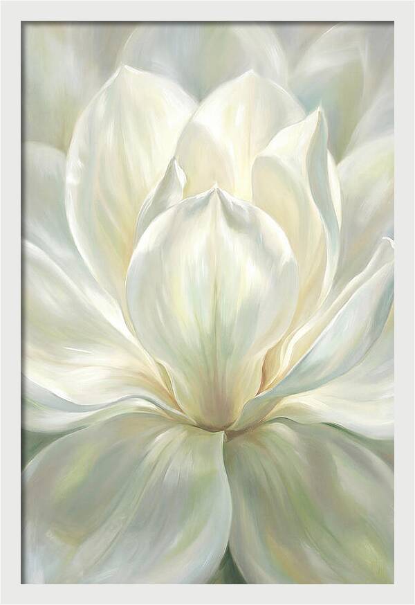 White Magnolia Blossom