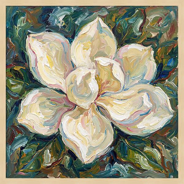 White Magnolia Blossom