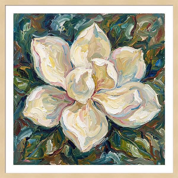 White Magnolia Blossom