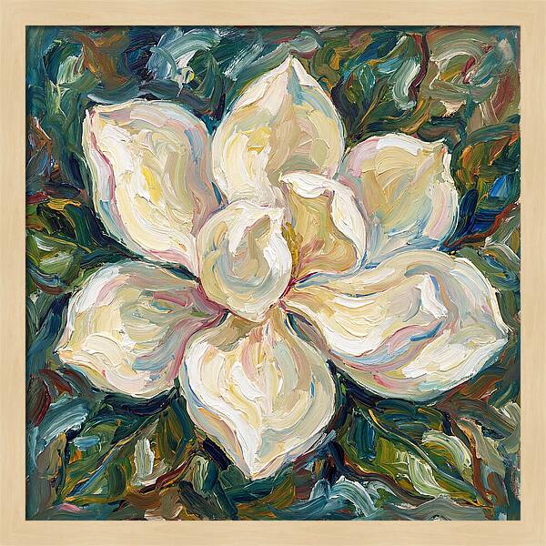 White Magnolia Blossom