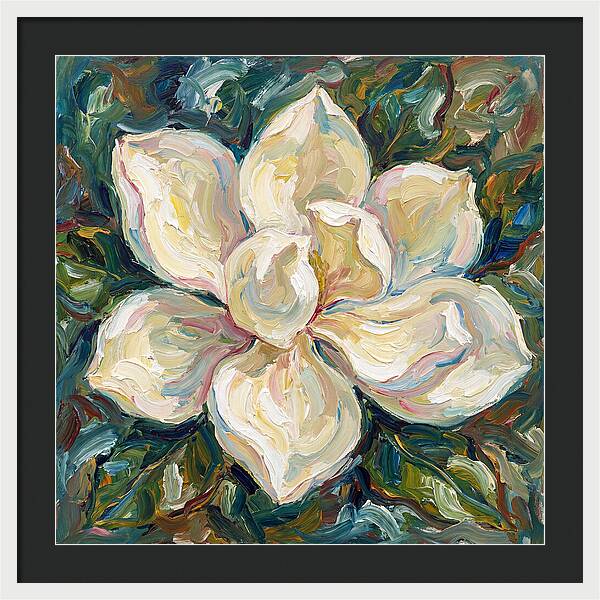 White Magnolia Blossom
