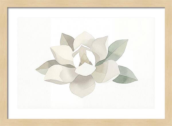 White Magnolia Elegance