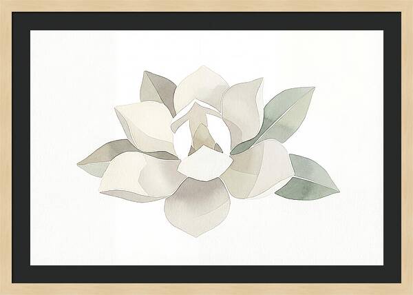 White Magnolia Elegance