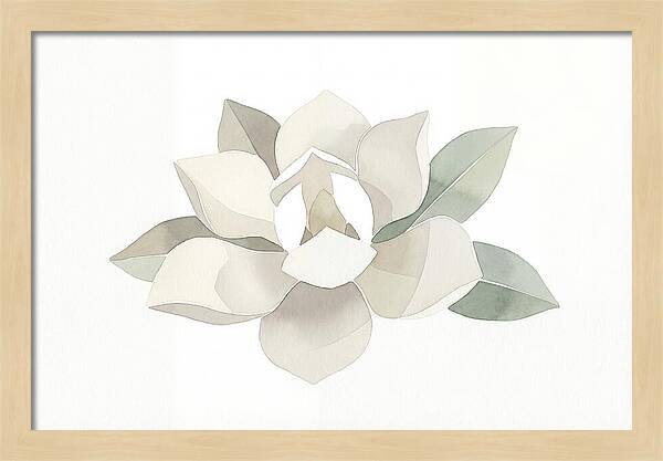 White Magnolia Elegance