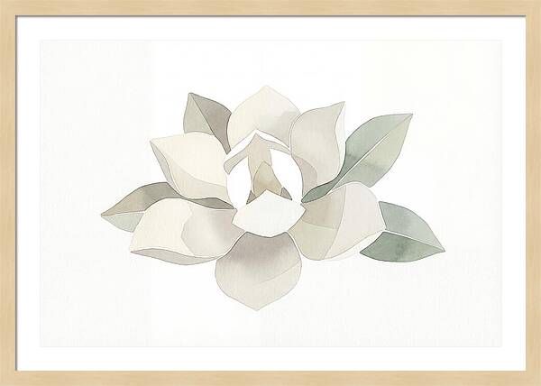 White Magnolia Elegance