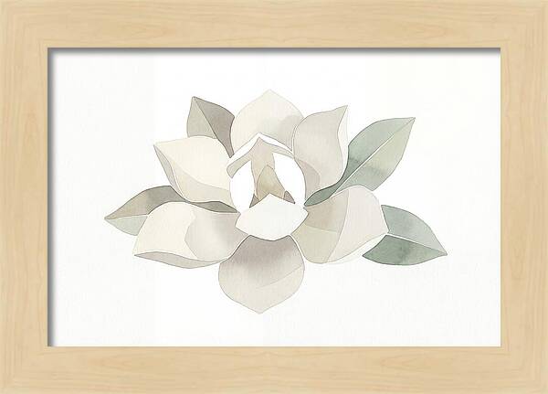 White Magnolia Elegance