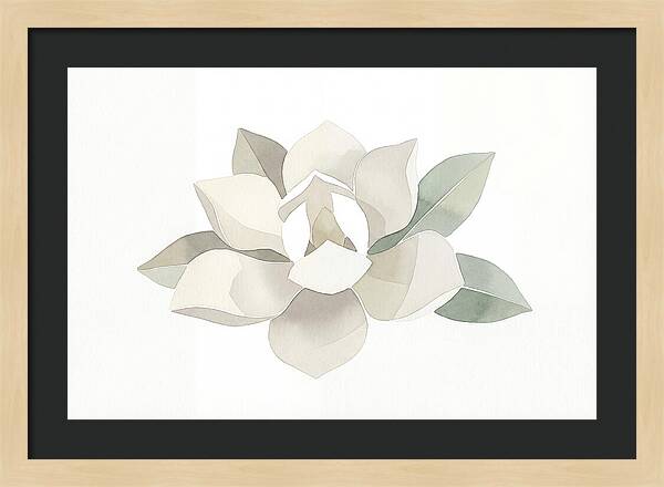 White Magnolia Elegance