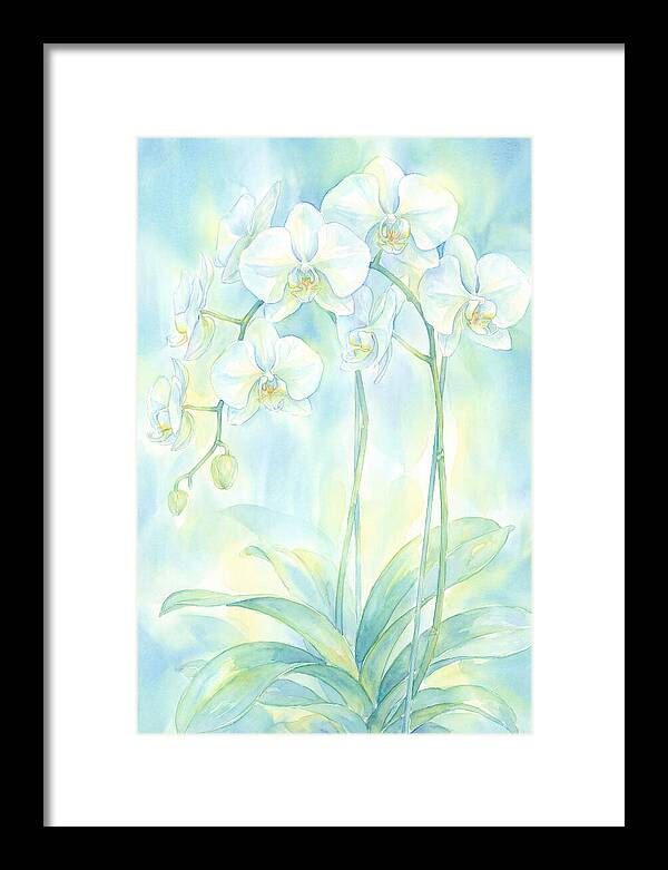 White Orchids