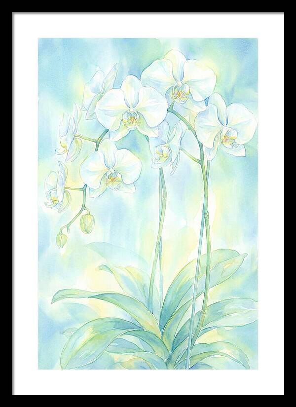 White Orchids