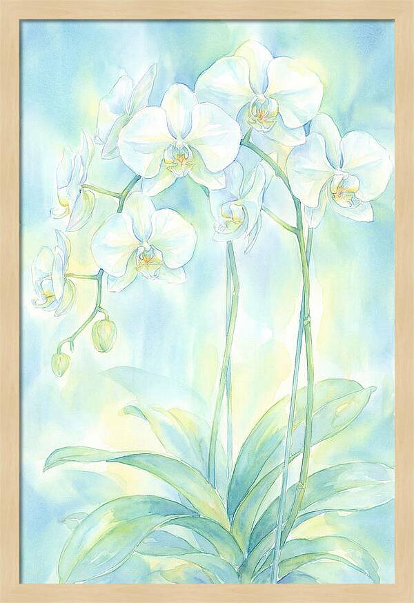 White Orchids