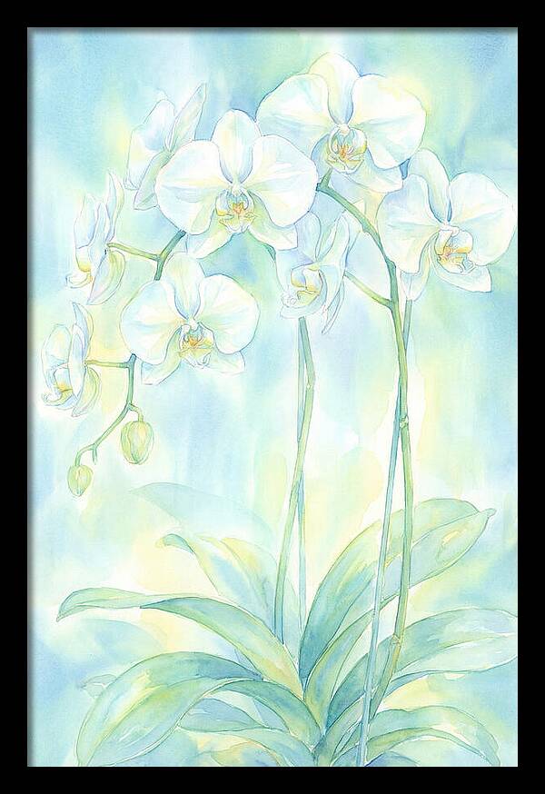 White Orchids
