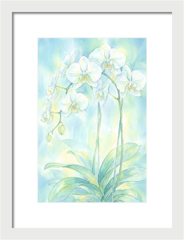 White Orchids