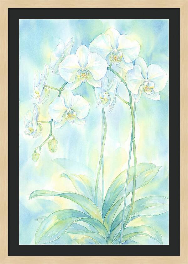 White Orchids