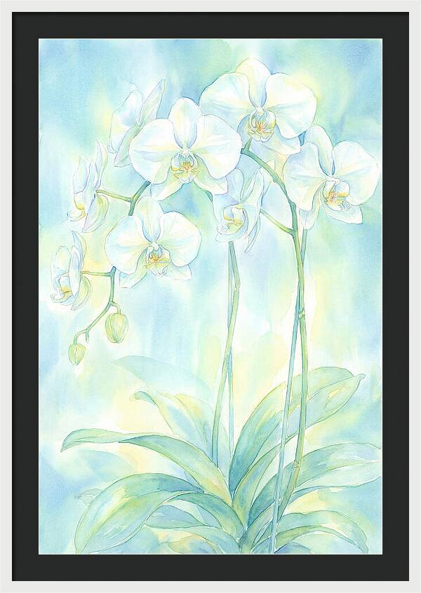 White Orchids