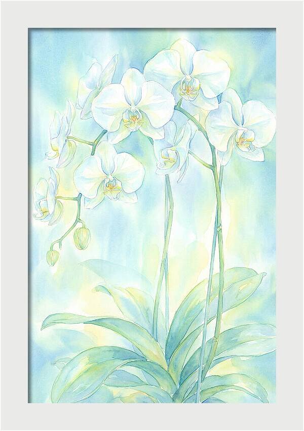White Orchids