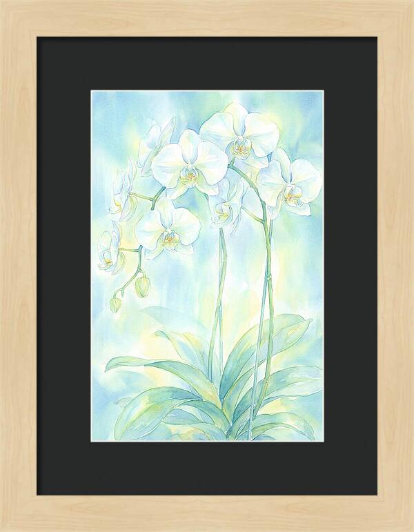 White Orchids