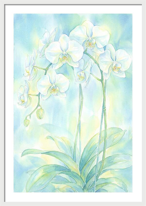 White Orchids