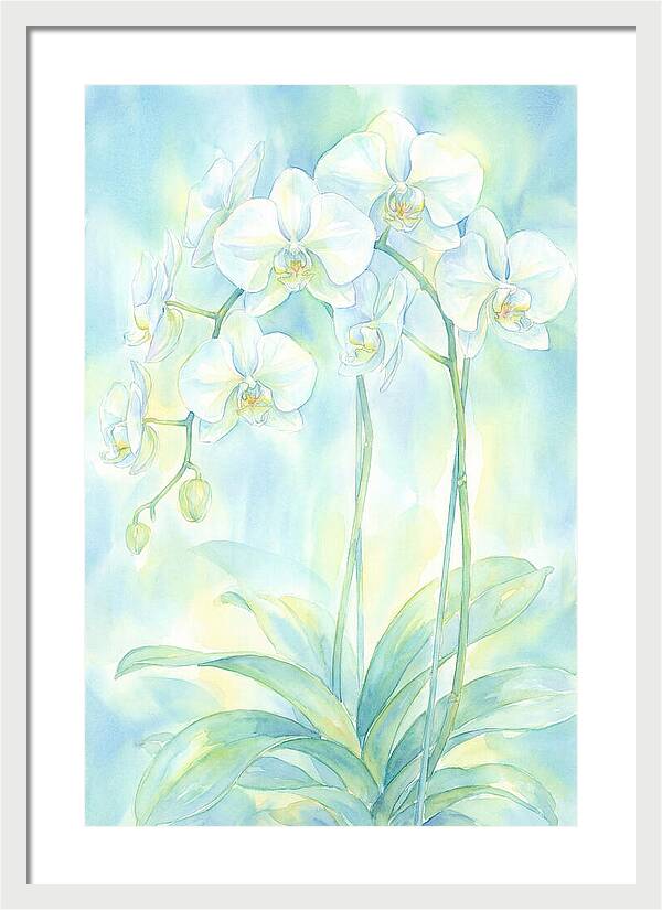 White Orchids