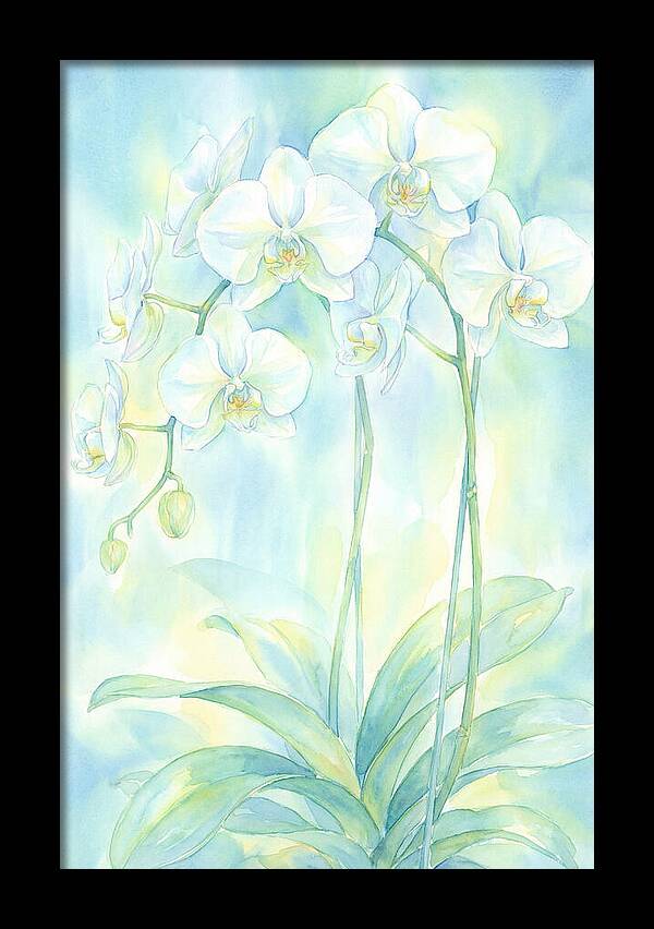 White Orchids