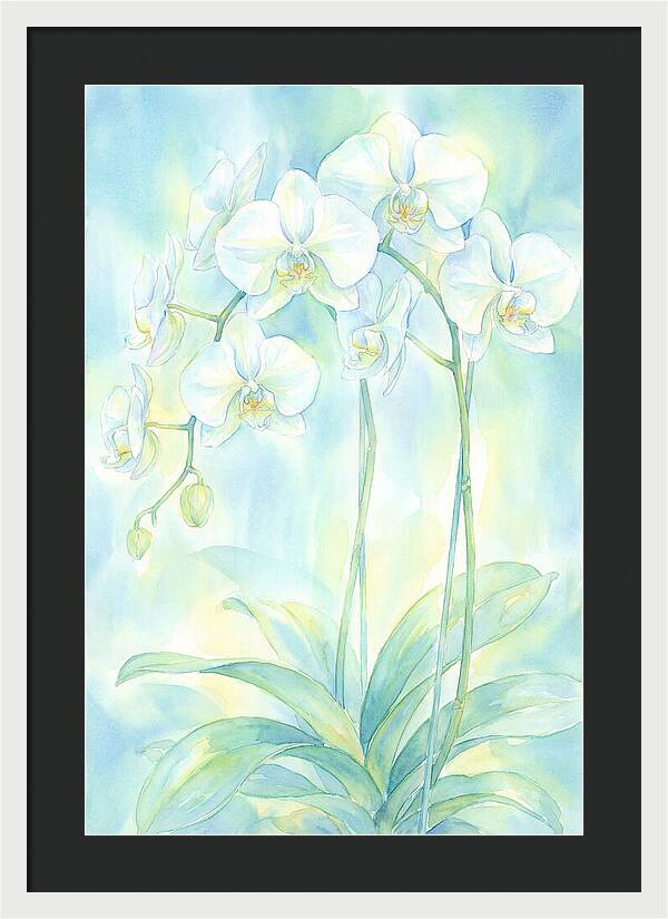 White Orchids
