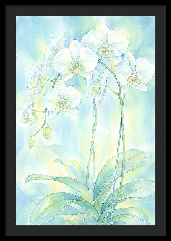 White Orchids