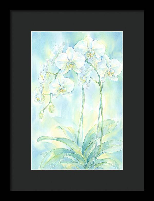 White Orchids