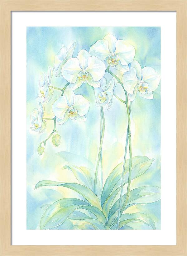 White Orchids
