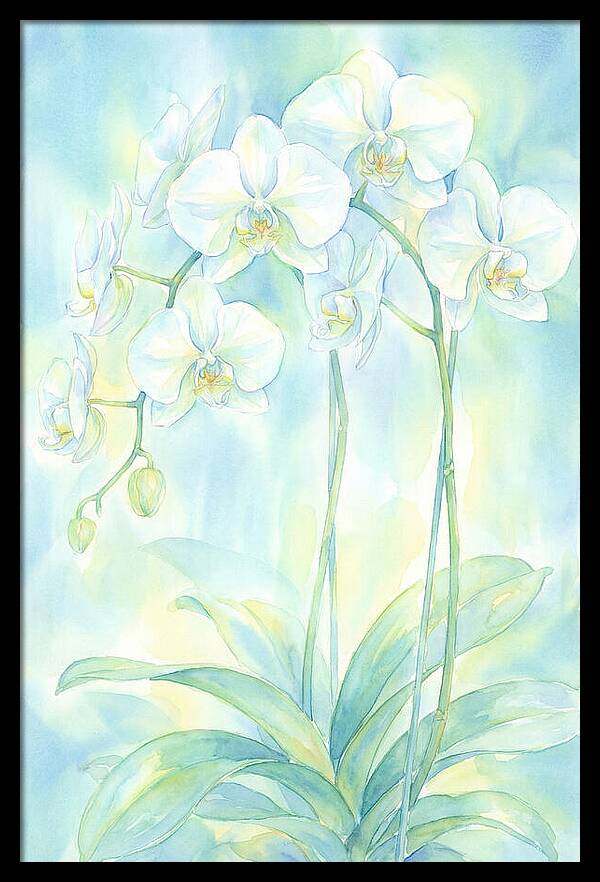 White Orchids