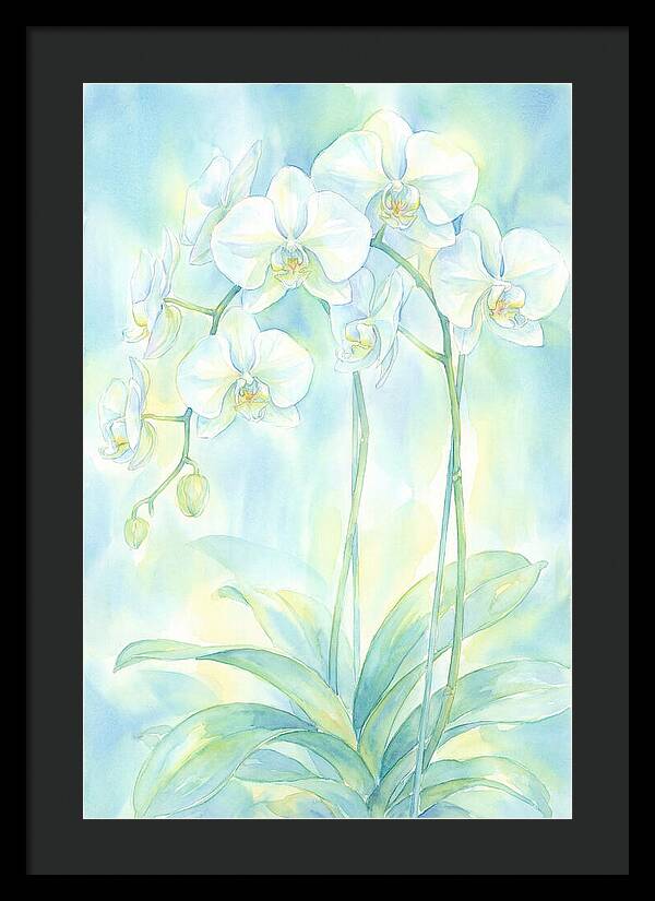 White Orchids