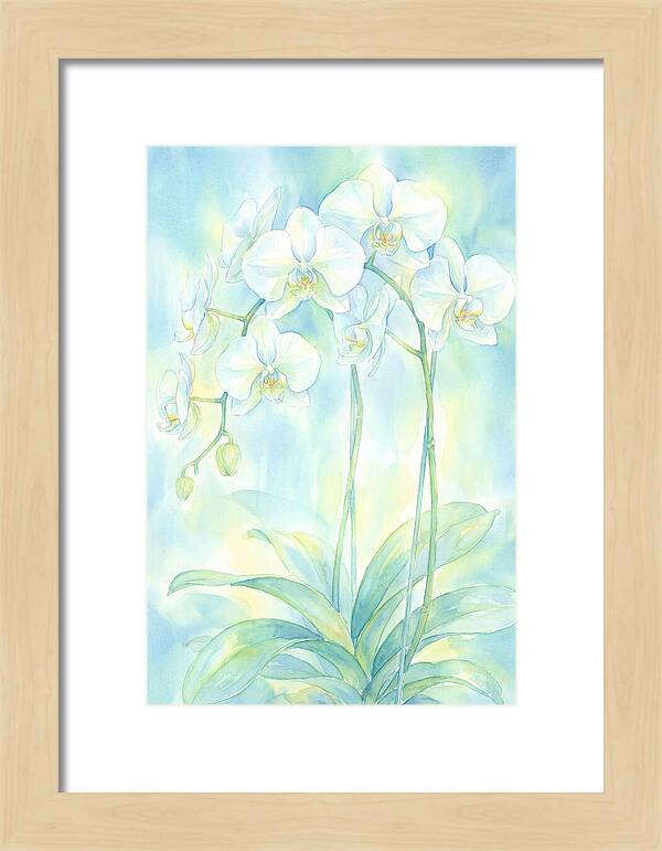 White Orchids