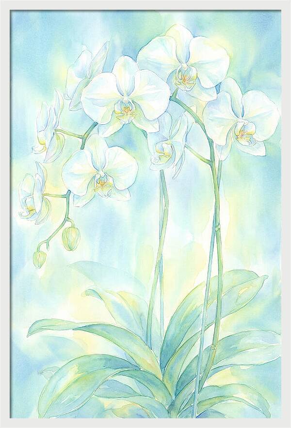 White Orchids