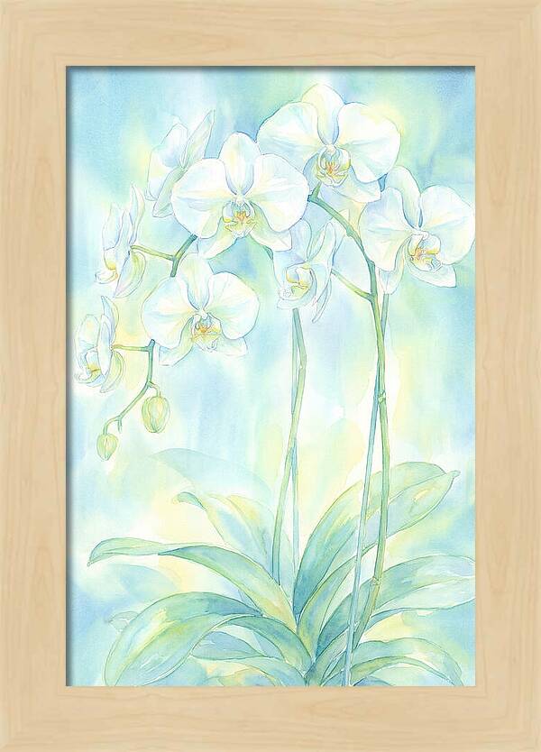 White Orchids