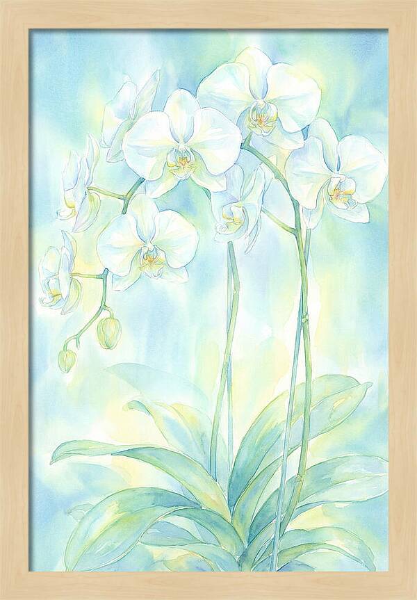 White Orchids