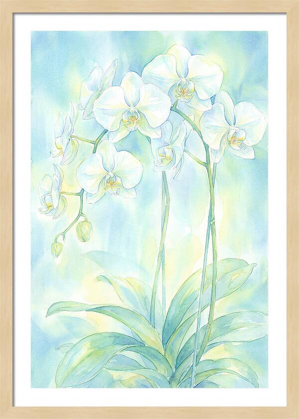 White Orchids