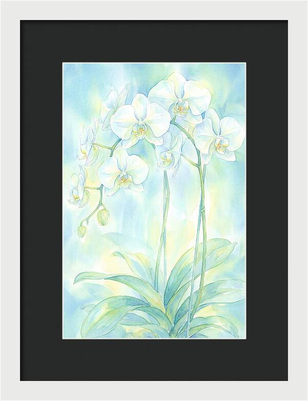 White Orchids