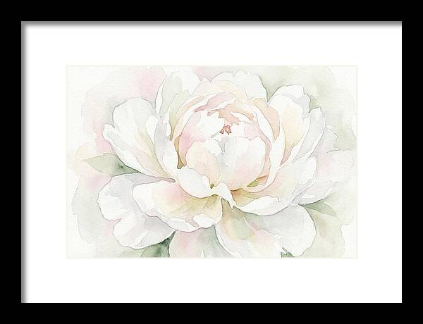 White Peony Blossom