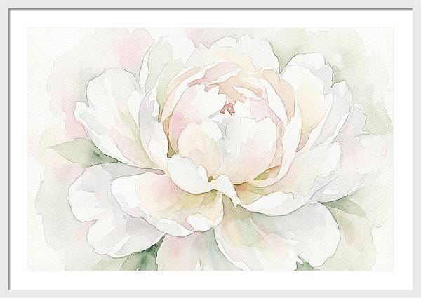 White Peony Blossom